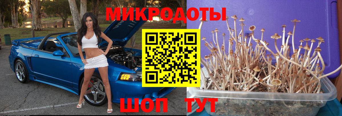 Галлюциногенные грибы мухоморы  Вход с VPN  Псилоцибиновые грибы мухоморы  Камышин 